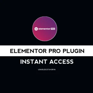 Elementor Pro